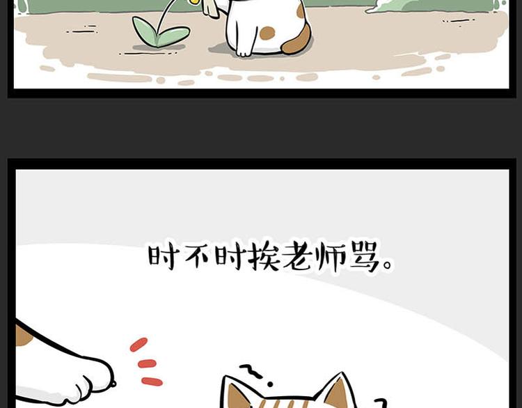 《吾皇巴扎黑》漫画最新章节第246话 你被踢了免费下拉式在线观看章节第【31】张图片