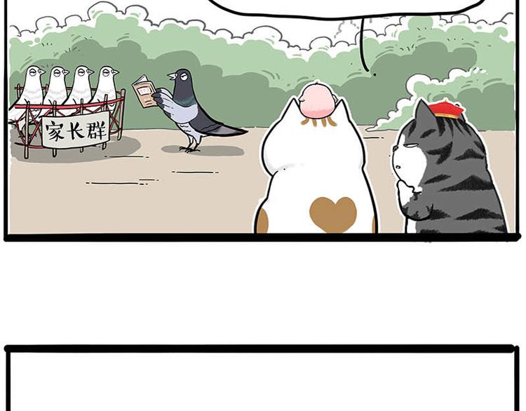 《吾皇巴扎黑》漫画最新章节第246话 你被踢了免费下拉式在线观看章节第【33】张图片