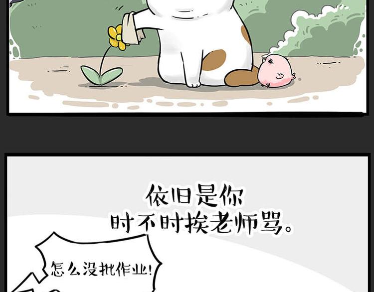 《吾皇巴扎黑》漫画最新章节第246话 你被踢了免费下拉式在线观看章节第【37】张图片