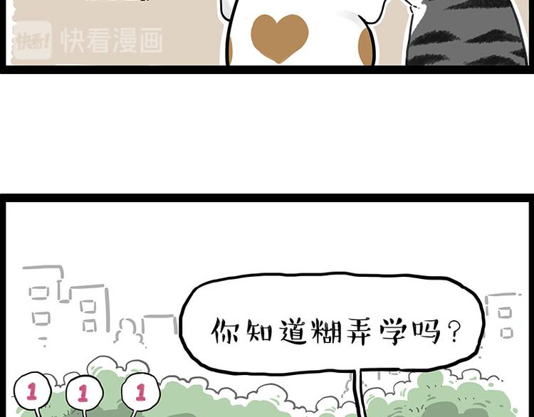 《吾皇巴扎黑》漫画最新章节第246话 你被踢了免费下拉式在线观看章节第【43】张图片