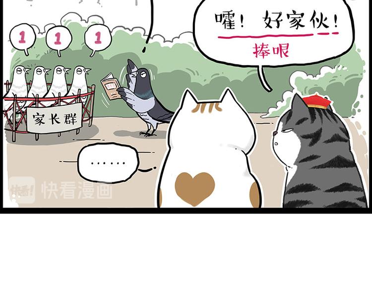 《吾皇巴扎黑》漫画最新章节第246话 你被踢了免费下拉式在线观看章节第【50】张图片