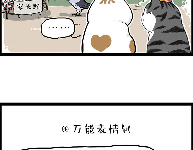 《吾皇巴扎黑》漫画最新章节第246话 你被踢了免费下拉式在线观看章节第【52】张图片