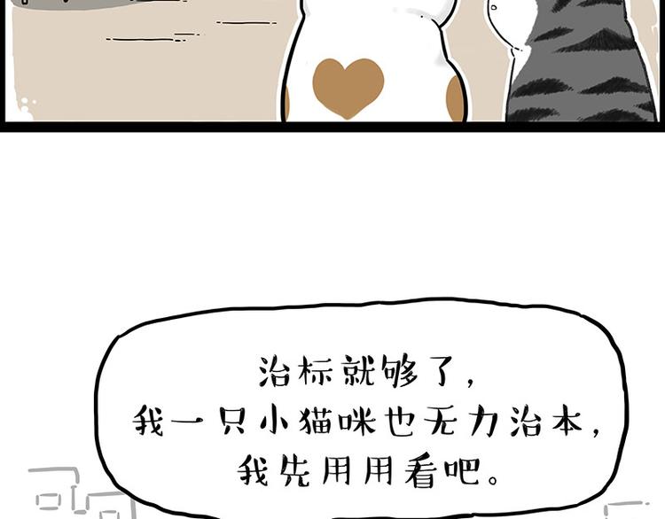 《吾皇巴扎黑》漫画最新章节第246话 你被踢了免费下拉式在线观看章节第【57】张图片