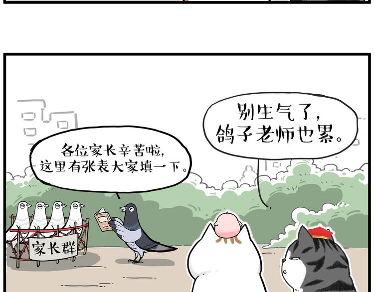 《吾皇巴扎黑》漫画最新章节第246话 你被踢了免费下拉式在线观看章节第【62】张图片