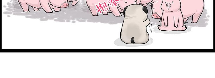 《吾皇巴扎黑》漫画最新章节第247话 巴扎猪免费下拉式在线观看章节第【33】张图片