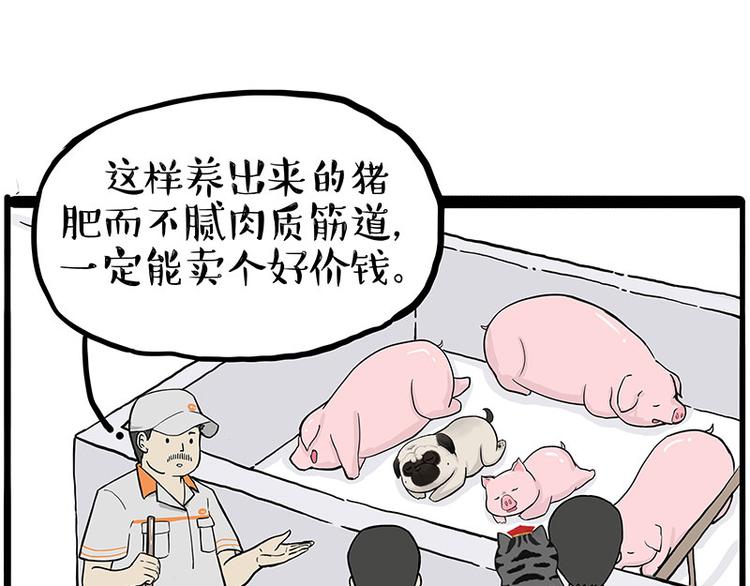 《吾皇巴扎黑》漫画最新章节第247话 巴扎猪免费下拉式在线观看章节第【42】张图片