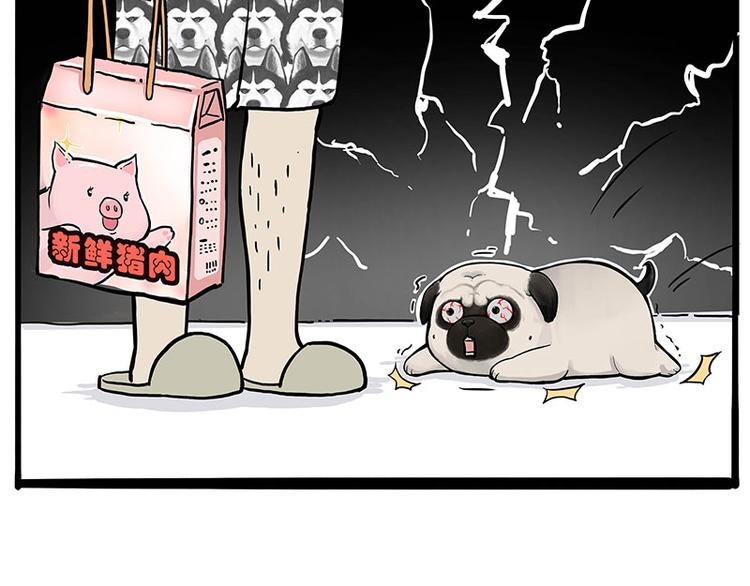 《吾皇巴扎黑》漫画最新章节第247话 巴扎猪免费下拉式在线观看章节第【54】张图片