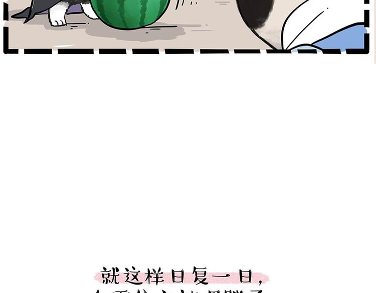 《吾皇巴扎黑》漫画最新章节第248话 童话是真的免费下拉式在线观看章节第【39】张图片