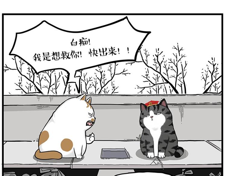 《吾皇巴扎黑》漫画最新章节第248话 童话是真的免费下拉式在线观看章节第【5】张图片