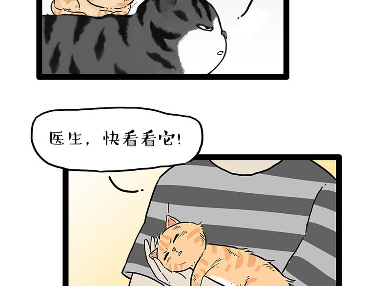 《吾皇巴扎黑》漫画最新章节第248话 童话是真的免费下拉式在线观看章节第【83】张图片