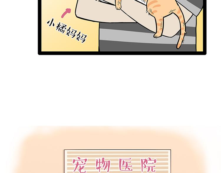 《吾皇巴扎黑》漫画最新章节第248话 童话是真的免费下拉式在线观看章节第【84】张图片