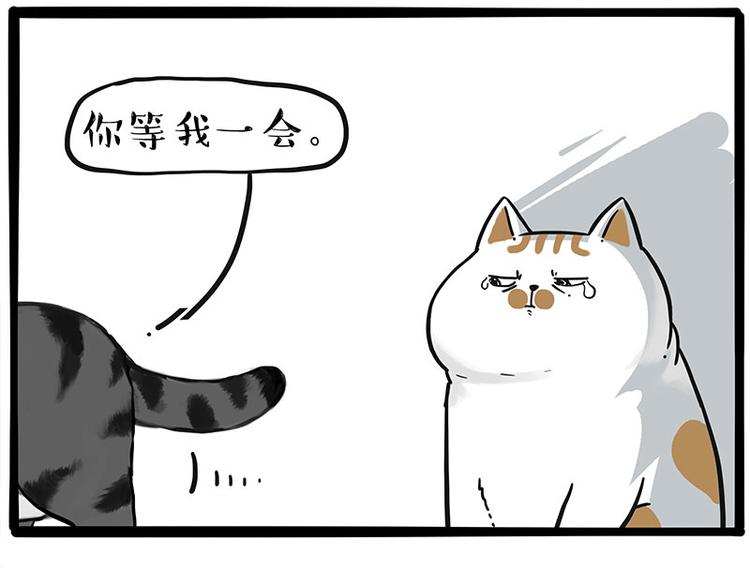 《吾皇巴扎黑》漫画最新章节第249话 黑黑快跑！免费下拉式在线观看章节第【13】张图片