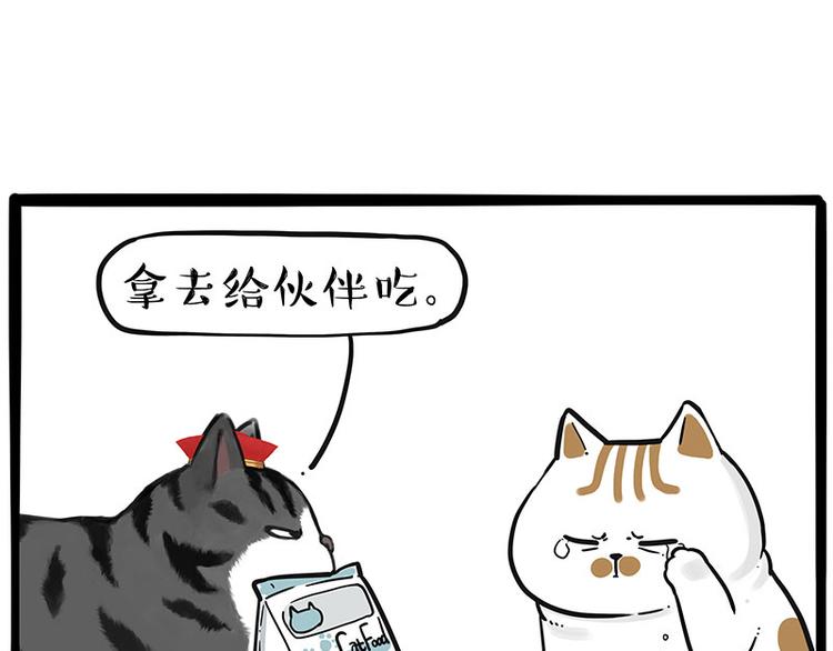 《吾皇巴扎黑》漫画最新章节第249话 黑黑快跑！免费下拉式在线观看章节第【14】张图片