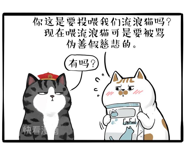 《吾皇巴扎黑》漫画最新章节第249话 黑黑快跑！免费下拉式在线观看章节第【16】张图片