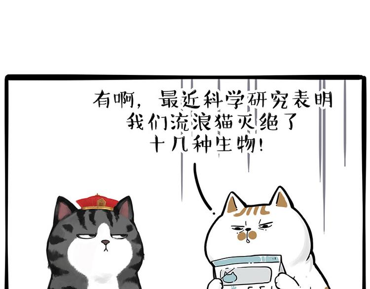 《吾皇巴扎黑》漫画最新章节第249话 黑黑快跑！免费下拉式在线观看章节第【17】张图片