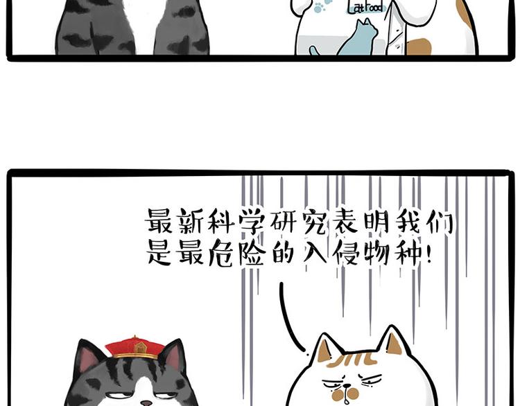 《吾皇巴扎黑》漫画最新章节第249话 黑黑快跑！免费下拉式在线观看章节第【18】张图片