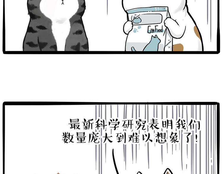 《吾皇巴扎黑》漫画最新章节第249话 黑黑快跑！免费下拉式在线观看章节第【19】张图片