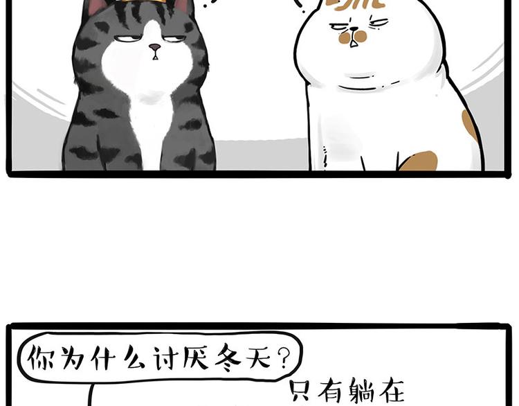 《吾皇巴扎黑》漫画最新章节第249话 黑黑快跑！免费下拉式在线观看章节第【2】张图片