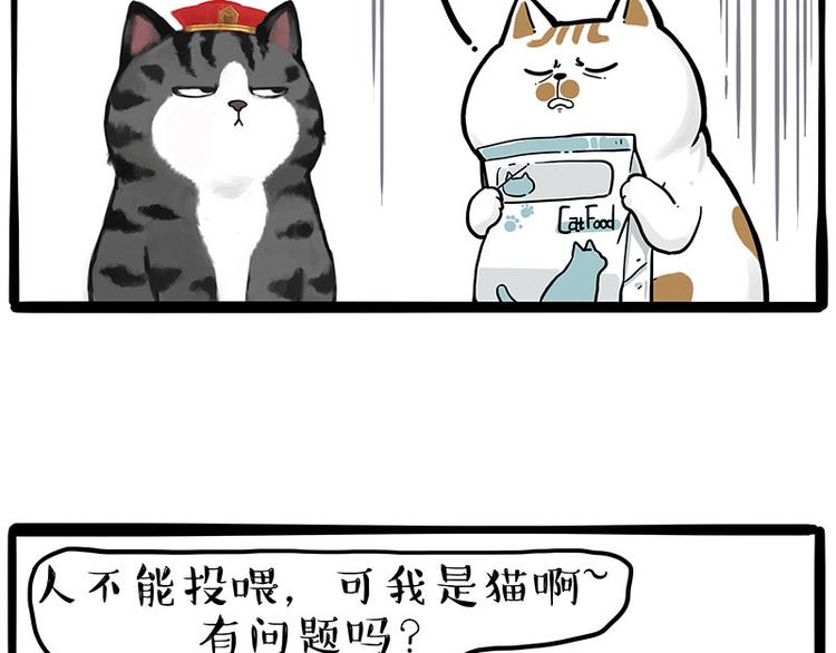 《吾皇巴扎黑》漫画最新章节第249话 黑黑快跑！免费下拉式在线观看章节第【20】张图片