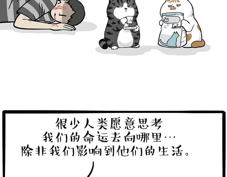 《吾皇巴扎黑》漫画最新章节第249话 黑黑快跑！免费下拉式在线观看章节第【26】张图片