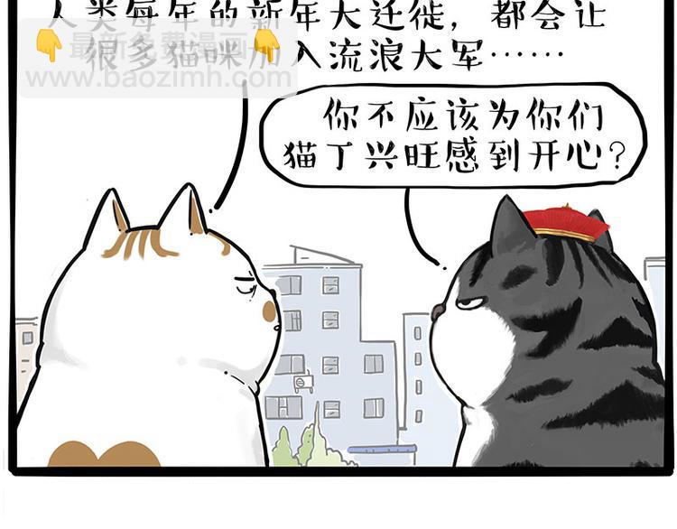 《吾皇巴扎黑》漫画最新章节第249话 黑黑快跑！免费下拉式在线观看章节第【28】张图片