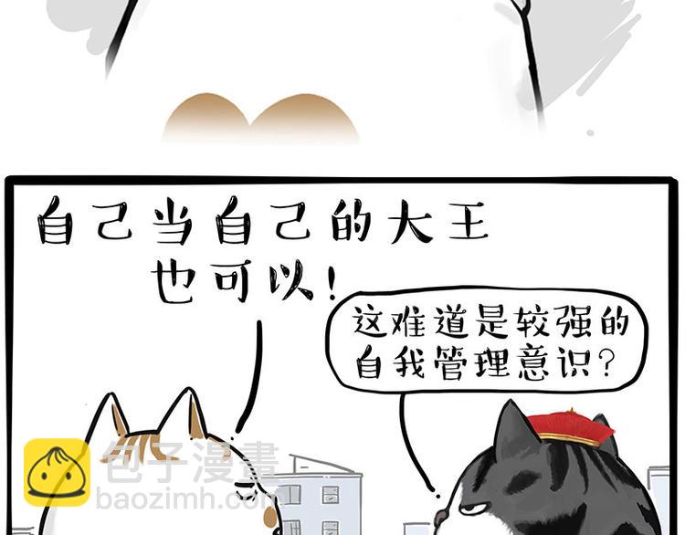 《吾皇巴扎黑》漫画最新章节第249话 黑黑快跑！免费下拉式在线观看章节第【30】张图片