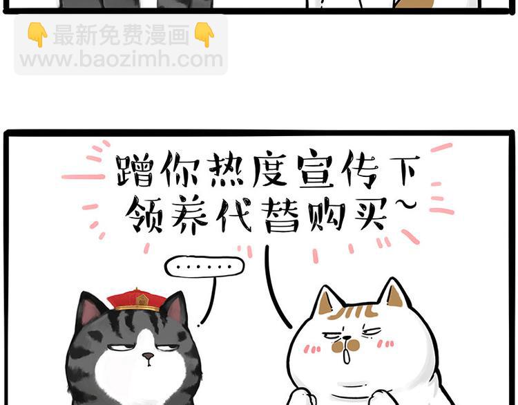 《吾皇巴扎黑》漫画最新章节第249话 黑黑快跑！免费下拉式在线观看章节第【33】张图片