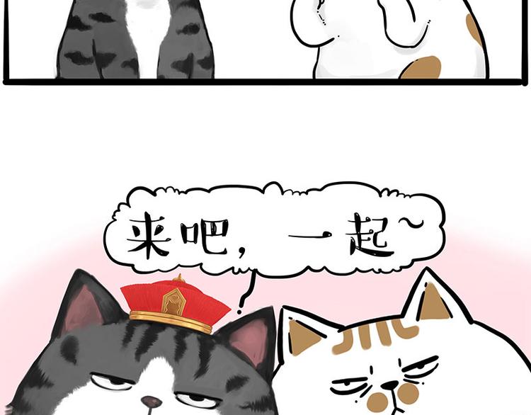 《吾皇巴扎黑》漫画最新章节第249话 黑黑快跑！免费下拉式在线观看章节第【34】张图片