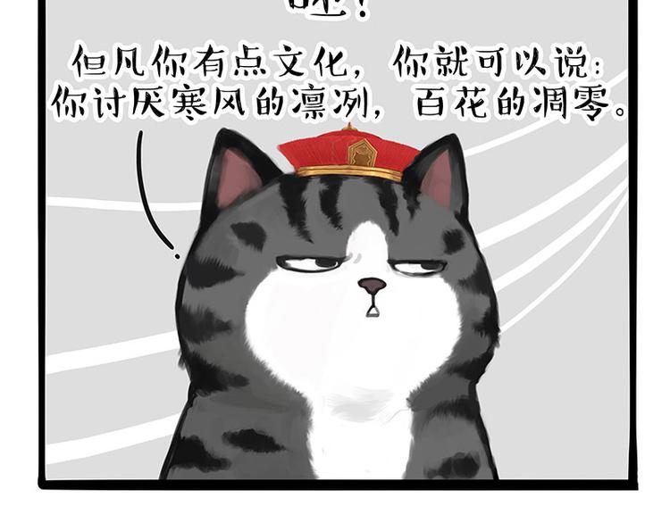 《吾皇巴扎黑》漫画最新章节第249话 黑黑快跑！免费下拉式在线观看章节第【4】张图片