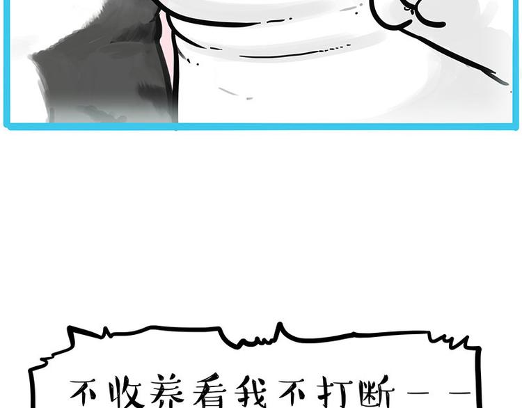 《吾皇巴扎黑》漫画最新章节第249话 黑黑快跑！免费下拉式在线观看章节第【41】张图片