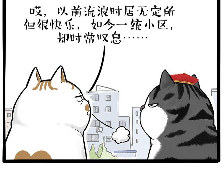 《吾皇巴扎黑》漫画最新章节第249话 黑黑快跑！免费下拉式在线观看章节第【51】张图片