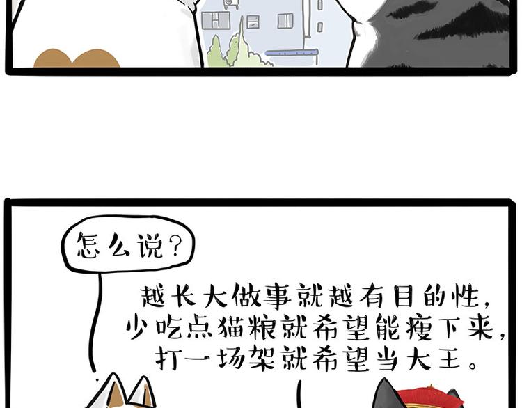 《吾皇巴扎黑》漫画最新章节第249话 黑黑快跑！免费下拉式在线观看章节第【53】张图片