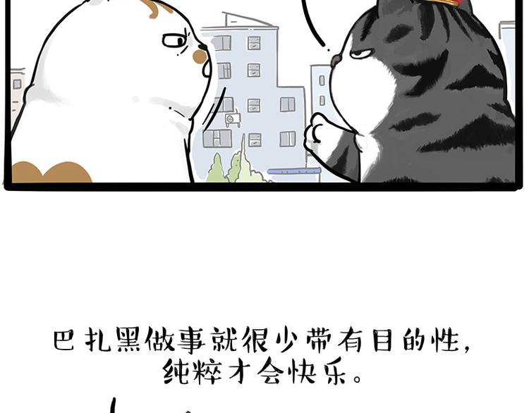 《吾皇巴扎黑》漫画最新章节第249话 黑黑快跑！免费下拉式在线观看章节第【54】张图片