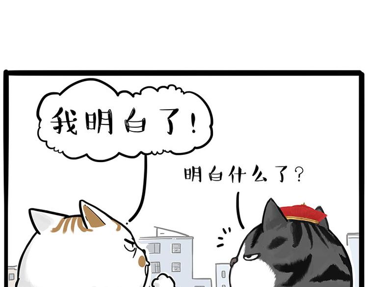 《吾皇巴扎黑》漫画最新章节第249话 黑黑快跑！免费下拉式在线观看章节第【56】张图片