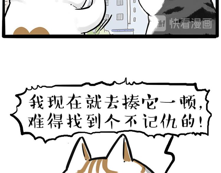 《吾皇巴扎黑》漫画最新章节第249话 黑黑快跑！免费下拉式在线观看章节第【57】张图片