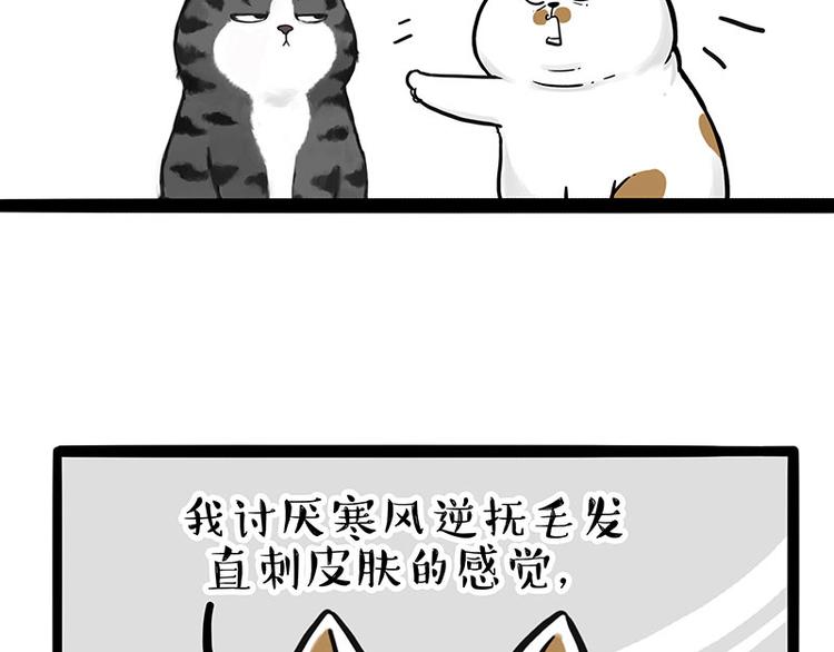 《吾皇巴扎黑》漫画最新章节第249话 黑黑快跑！免费下拉式在线观看章节第【7】张图片