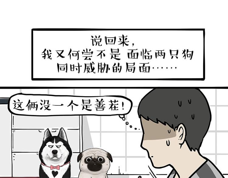 《吾皇巴扎黑》漫画最新章节第253话 与狗争饭免费下拉式在线观看章节第【17】张图片