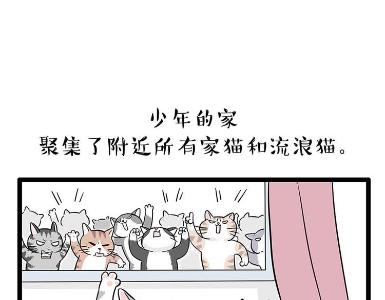 《吾皇巴扎黑》漫画最新章节第254话 摔角大赛谁与争锋免费下拉式在线观看章节第【30】张图片