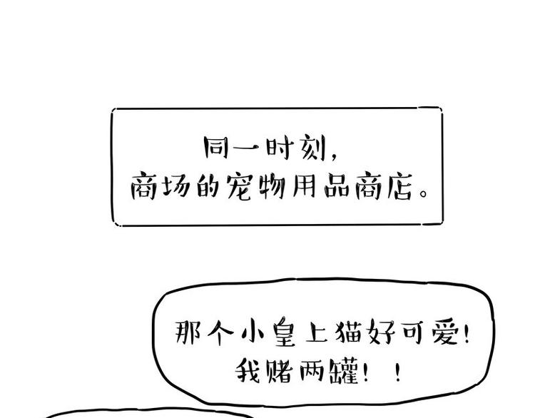 《吾皇巴扎黑》漫画最新章节第254话 摔角大赛谁与争锋免费下拉式在线观看章节第【34】张图片