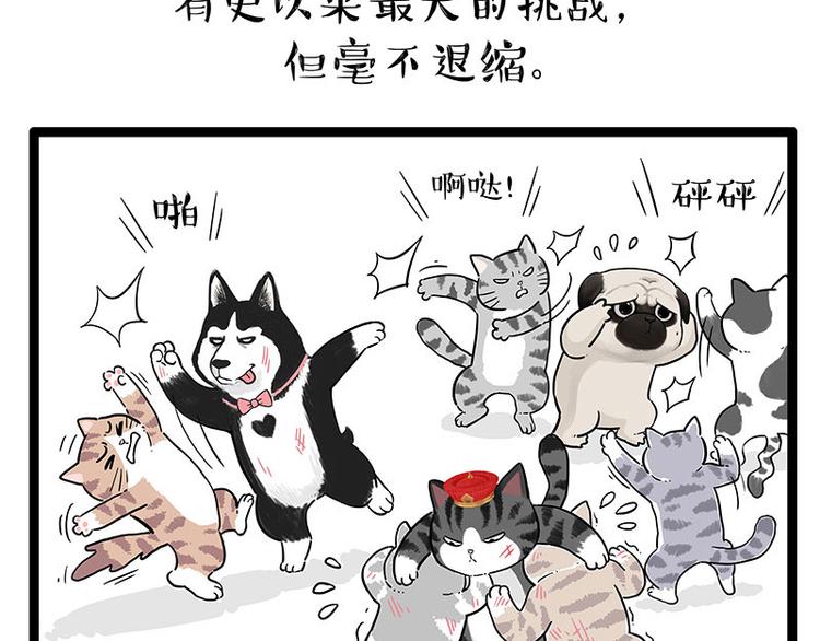 《吾皇巴扎黑》漫画最新章节第254话 摔角大赛谁与争锋免费下拉式在线观看章节第【39】张图片