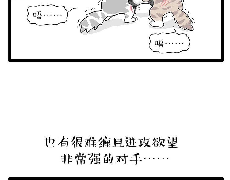 《吾皇巴扎黑》漫画最新章节第254话 摔角大赛谁与争锋免费下拉式在线观看章节第【40】张图片