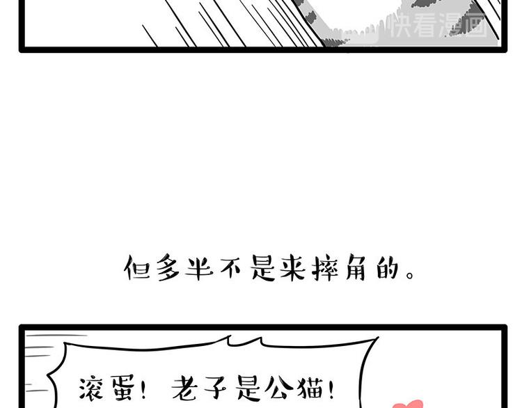 《吾皇巴扎黑》漫画最新章节第254话 摔角大赛谁与争锋免费下拉式在线观看章节第【42】张图片