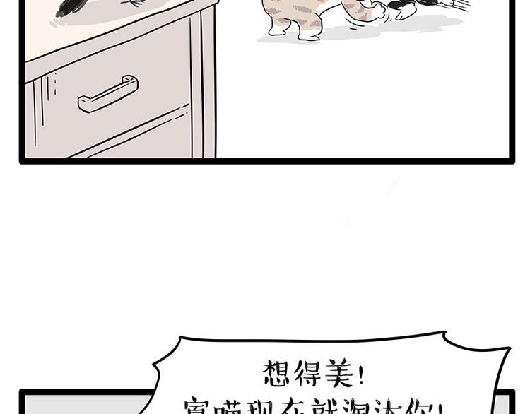 《吾皇巴扎黑》漫画最新章节第254话 摔角大赛谁与争锋免费下拉式在线观看章节第【47】张图片