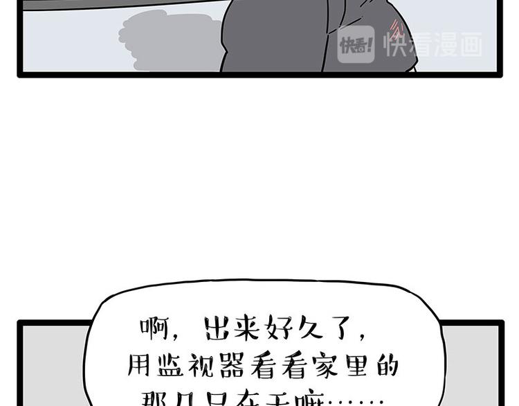 《吾皇巴扎黑》漫画最新章节第254话 摔角大赛谁与争锋免费下拉式在线观看章节第【8】张图片