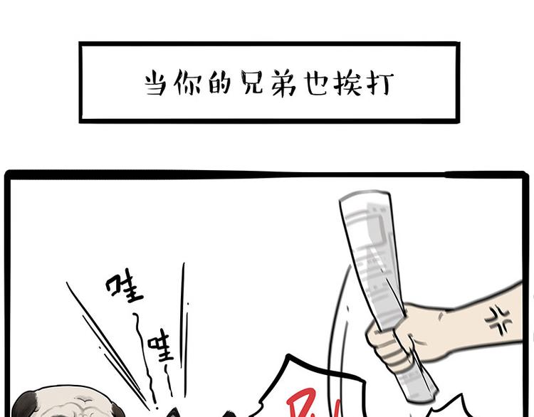 《吾皇巴扎黑》漫画最新章节第256话 狗朋友免费下拉式在线观看章节第【11】张图片