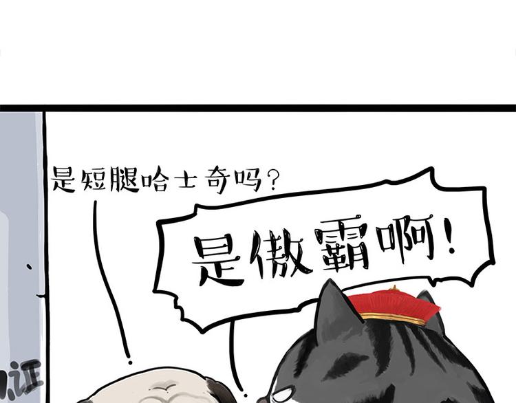 《吾皇巴扎黑》漫画最新章节第258话 靠脸吃饭免费下拉式在线观看章节第【10】张图片