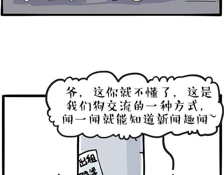 《吾皇巴扎黑》漫画最新章节第258话 靠脸吃饭免费下拉式在线观看章节第【4】张图片