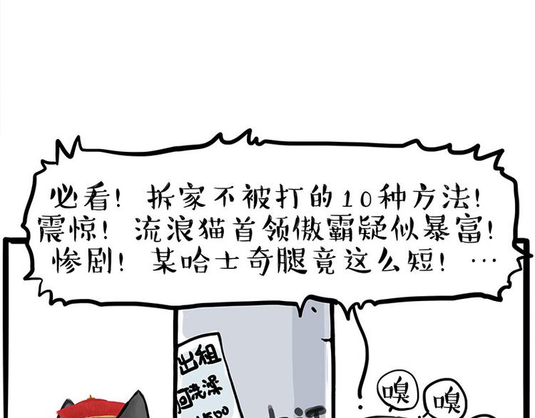 《吾皇巴扎黑》漫画最新章节第258话 靠脸吃饭免费下拉式在线观看章节第【7】张图片