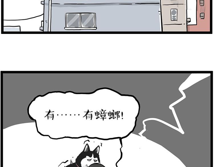 《吾皇巴扎黑》漫画最新章节第261话 灭蟑？免费下拉式在线观看章节第【15】张图片