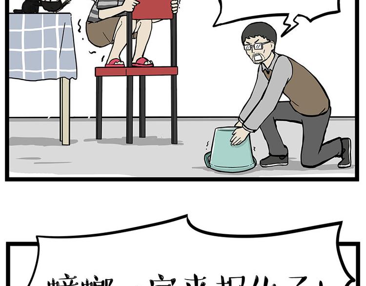 《吾皇巴扎黑》漫画最新章节第261话 灭蟑？免费下拉式在线观看章节第【19】张图片